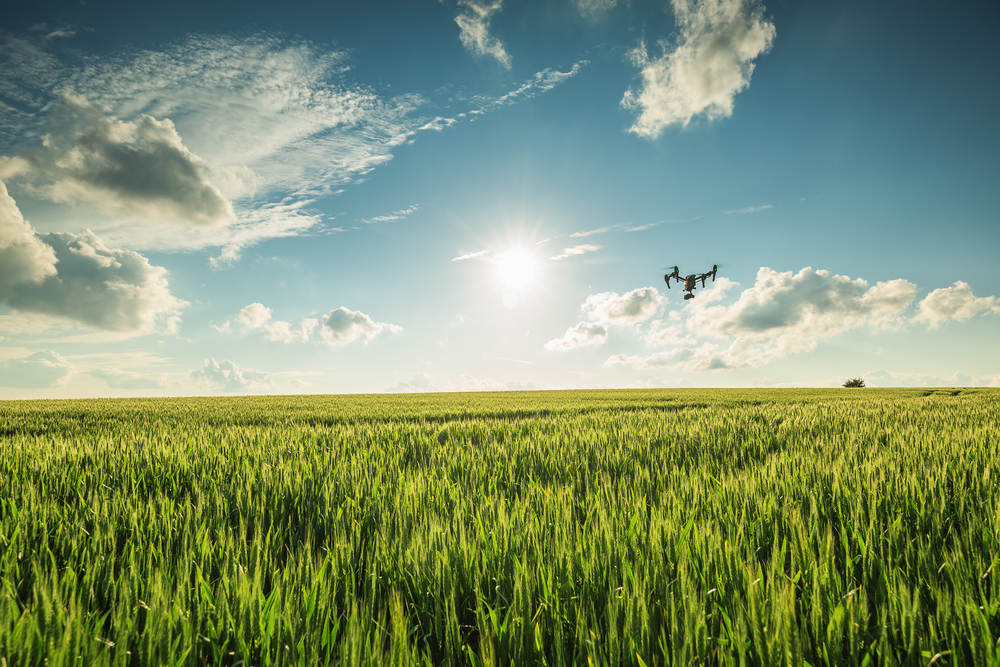 drone flying in sky over field